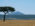 Maasai Mara