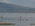 Lake Naivasha / Lake Nakuru